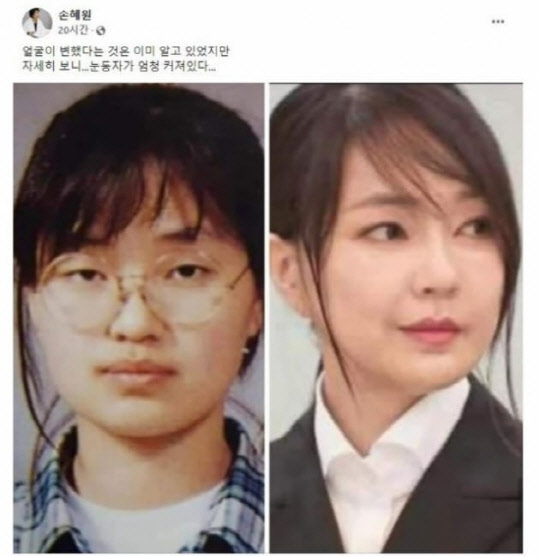 손혜원 전 의원 페이스북